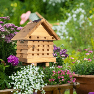 Solitary Bee Hive – Give bees a helping hand