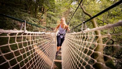 Book an Adventure Day at Go Ape - Birthday gifts for sisters who love to monkey about