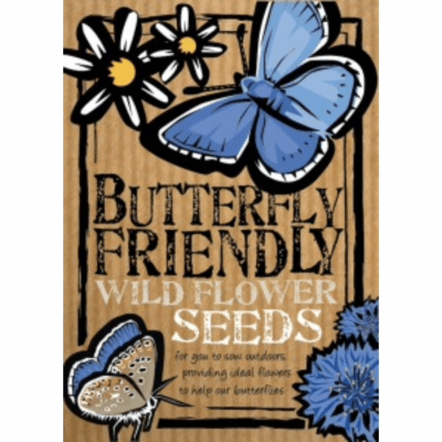 Butterfly Friendly Wildflower Seeds - For a colourful garden