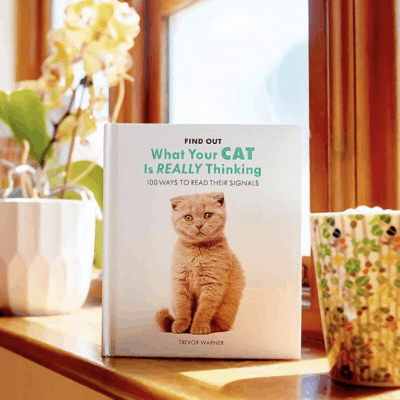 Funny and Heartwarming Book - For the grandma who’s a cat lover