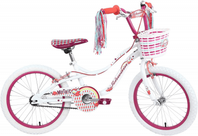 Big Girl Bike – Birthday gift for a 6 year old girl