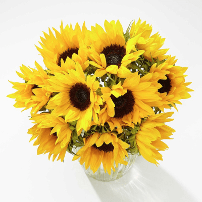 Bouquet of Sunflowers – Guaranteed to brighten her day