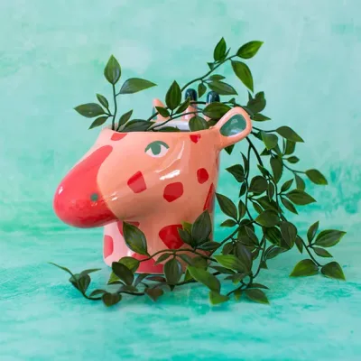 Novelty Planter – The best birthday present for plant lovers and gardeners
