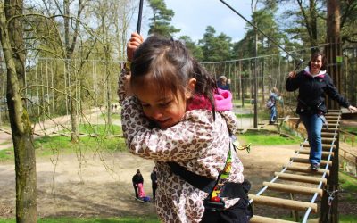Treetop Adventure Plus – Adventure gifts for 6 year old girls in the UK