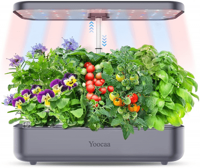 Hydroponic Herb Garden – Gluten free gift ideas