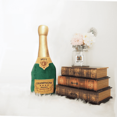 Novelty Champagne Bottle Cushion – Quirky novelty champagne gift