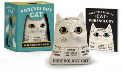 Phrenology Cat – Unusual gifts for cat lovers