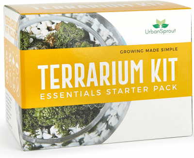 A Terrarium Starter Kit – Winter gardening gifts