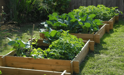 Raised Bed Garden Kit – Best gifts for gardeners