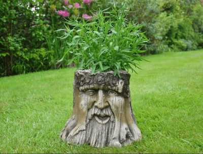 Tree Stump Planters – Unique gift planters