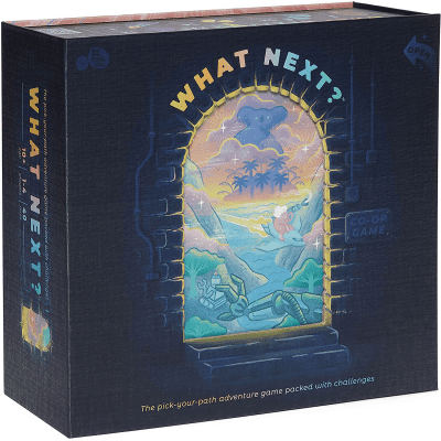 What Next Adventure Board Game – Fun family gift for geeky families